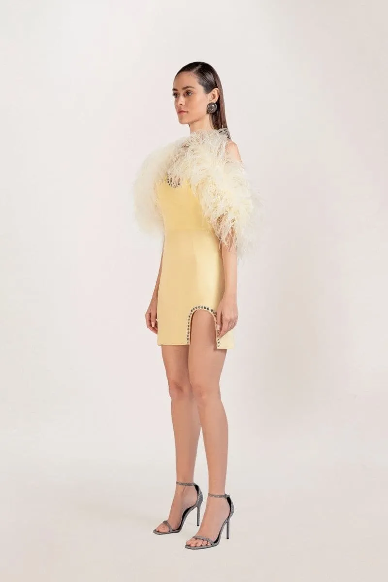 BELLA SILK FEATHER-TRIMMED MINI DRESS