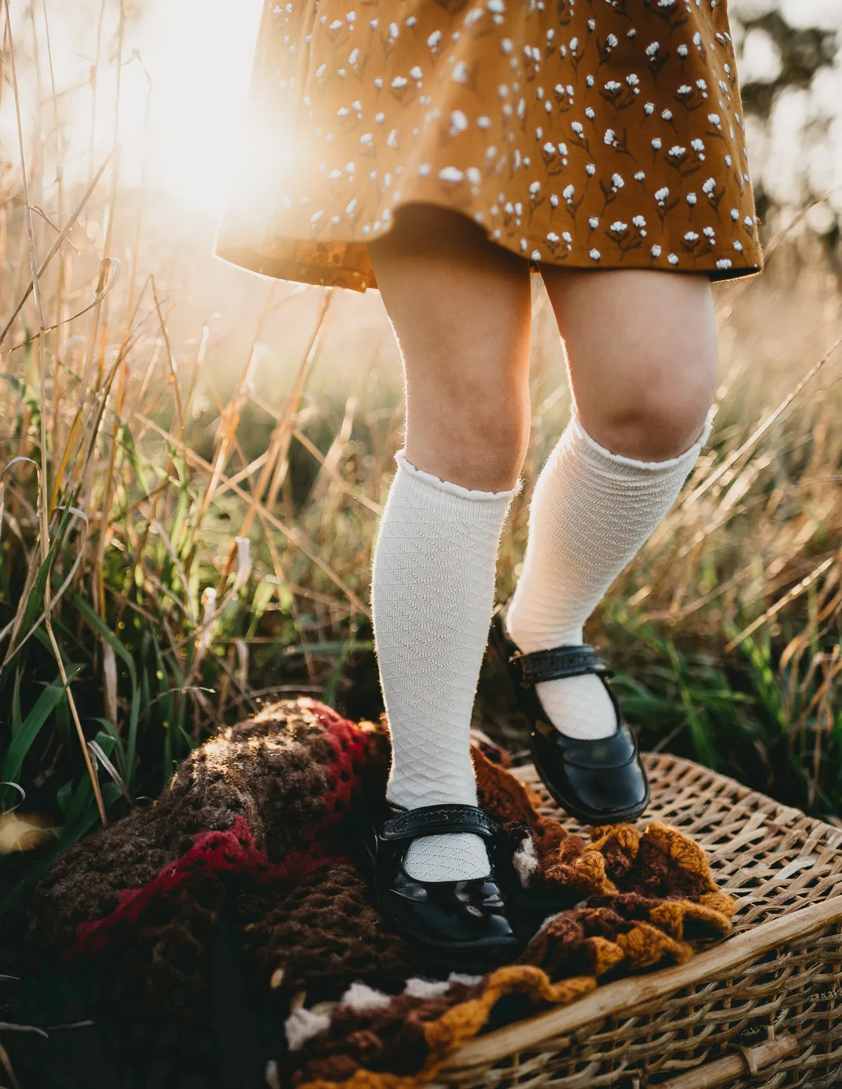 Picnic Knee-High Socks - Macaroon