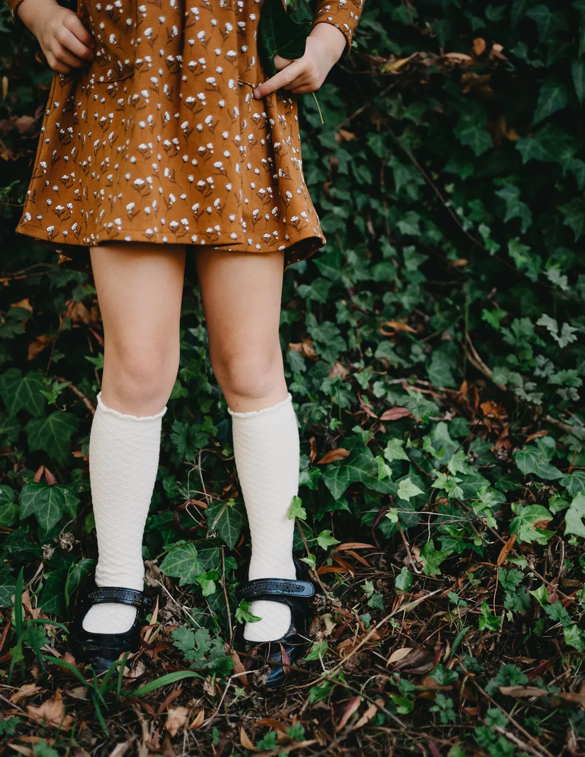 Picnic Knee-High Socks - Macaroon